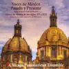 Chicago Panamerican Ensemble - Voices of Mexico Past and Present (Voces de Mexico Pasado y Presente) Chamber Music of Mexico in the XX and XXI Centuries